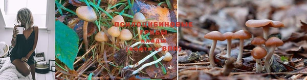 кокс Волоколамск