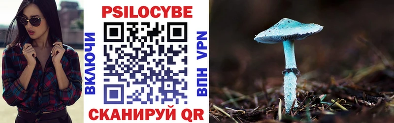 где купить   Зеленокумск  Галлюциногенные грибы Psilocybe 